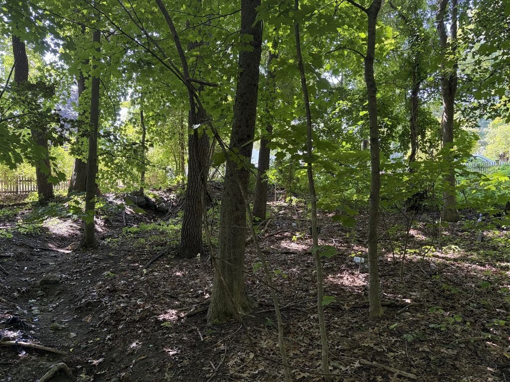 15 Myrna Rd, Lexington