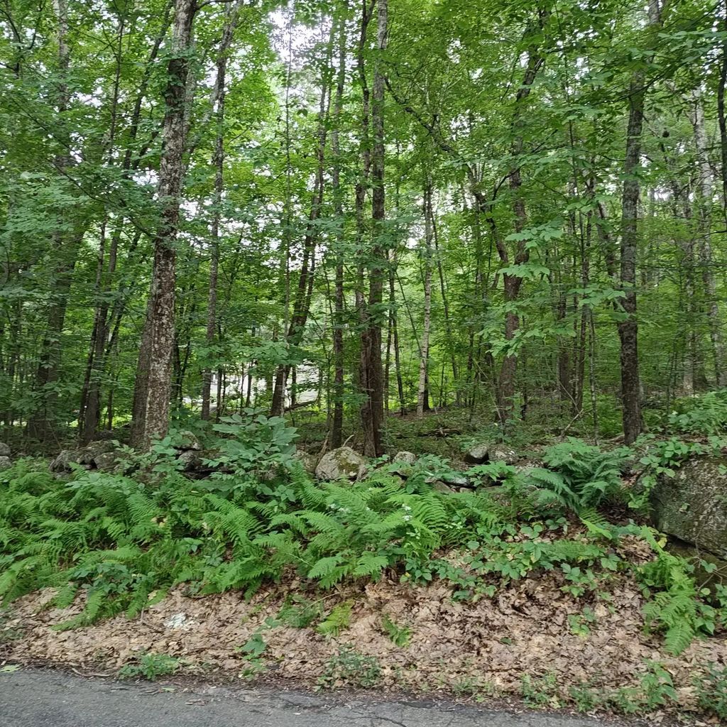 Old West Brookfield Rd, Warren