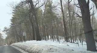 Lot B Willow Road, Boxford