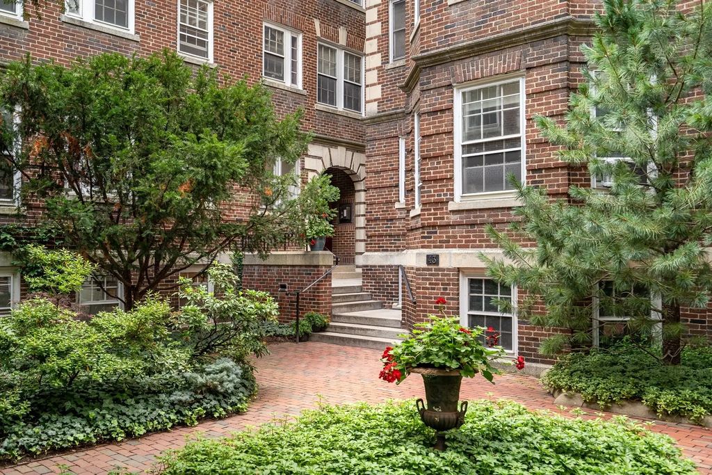 43 Linnaean #24, Cambridge