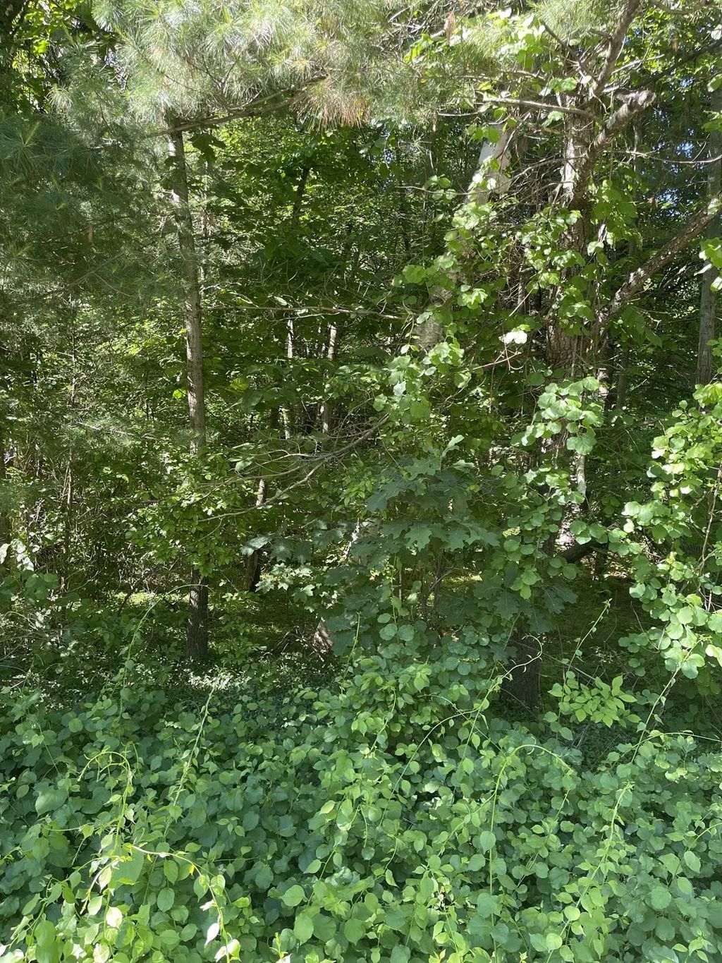Lot A Ware Rd, Belchertown