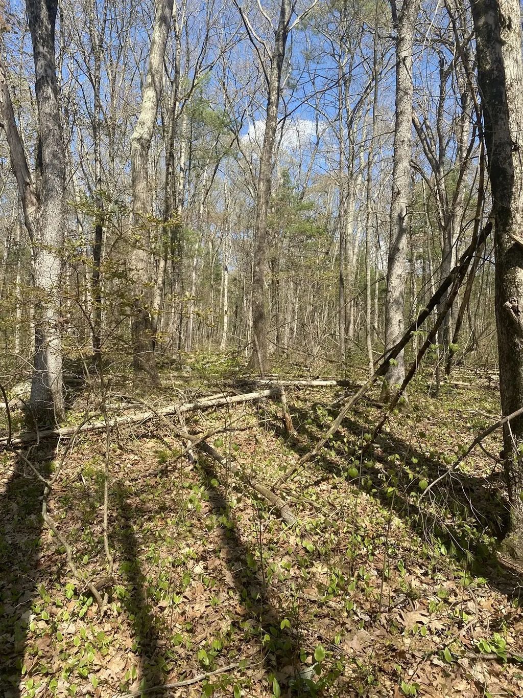 395 Belchertown Rd, Ware