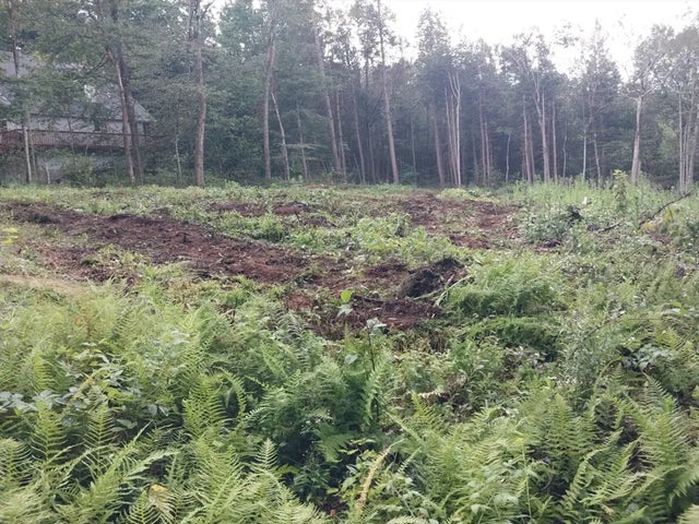 Ts12 &ttr8 Slope Rd & Traaack, Tolland