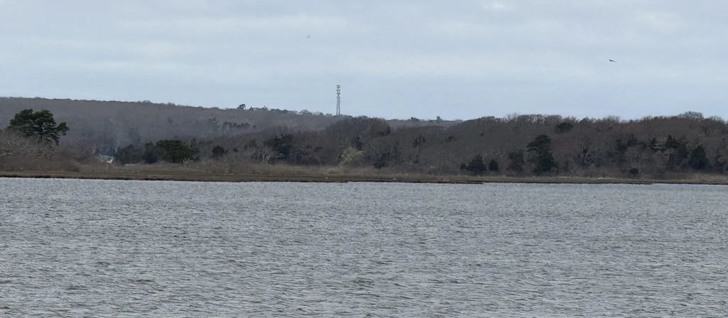 Island, Westport