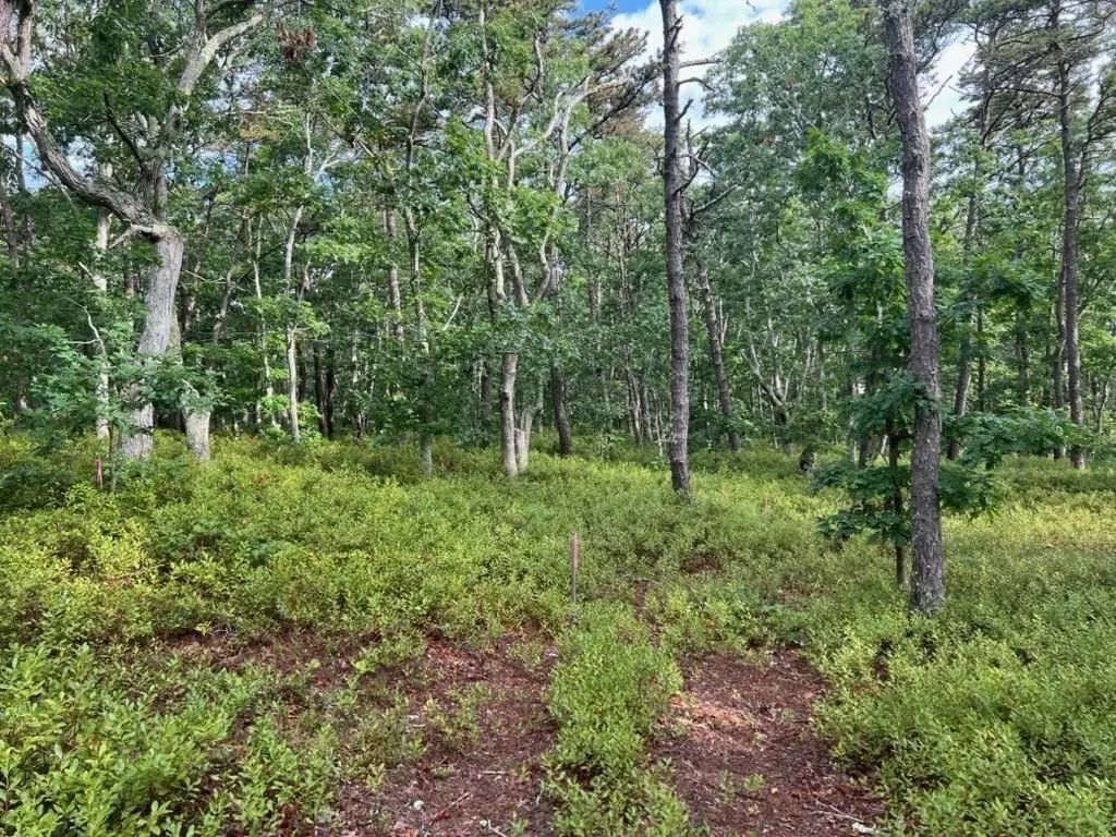 37 Oak Valley Rd, Wellfleet