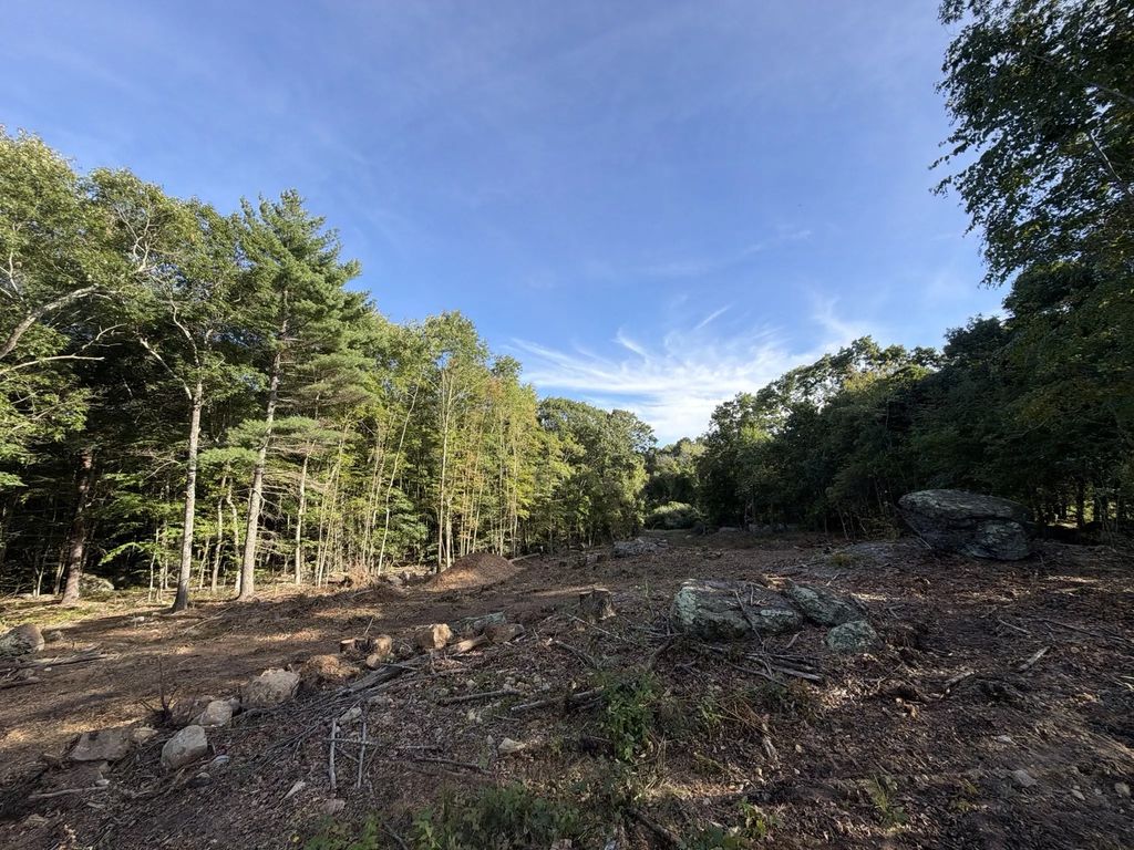 Rocky Woods, Taunton