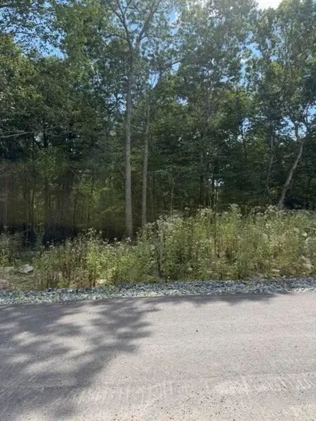Rocky Woods, Taunton
