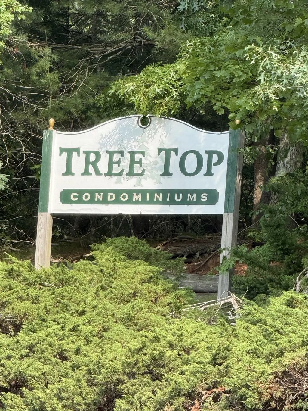 3 Treetop Ln #8, Kingston
