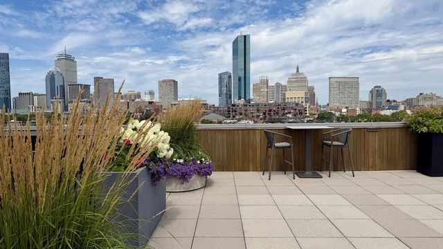 1313 Washington Street #310, Boston