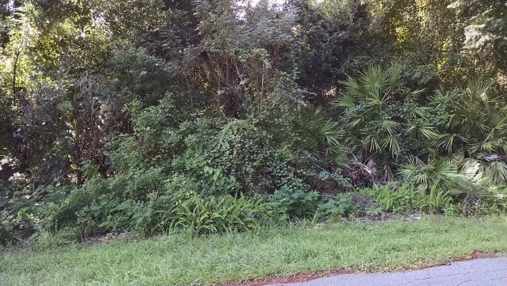 1361 Howland Boulevard, Deltona