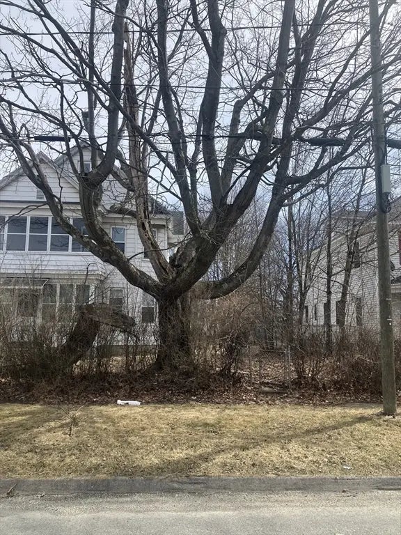 24 Glenwood Avenue, Pittsfield