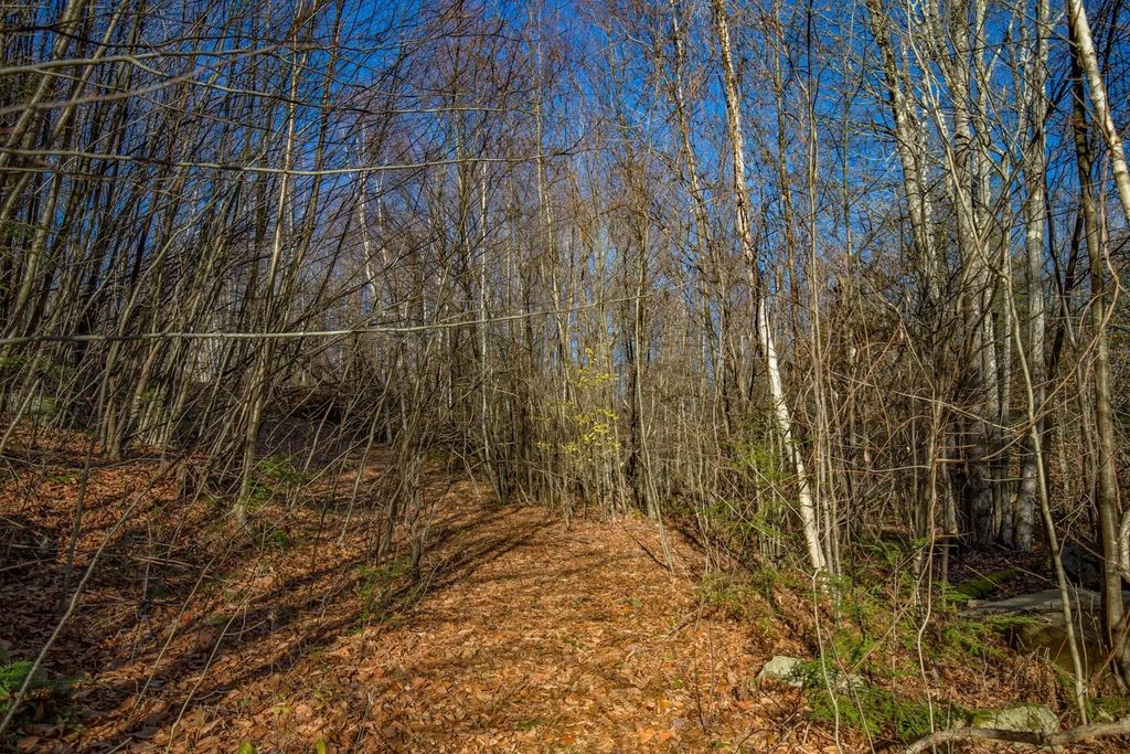 Goose Pond Road, Tyringham