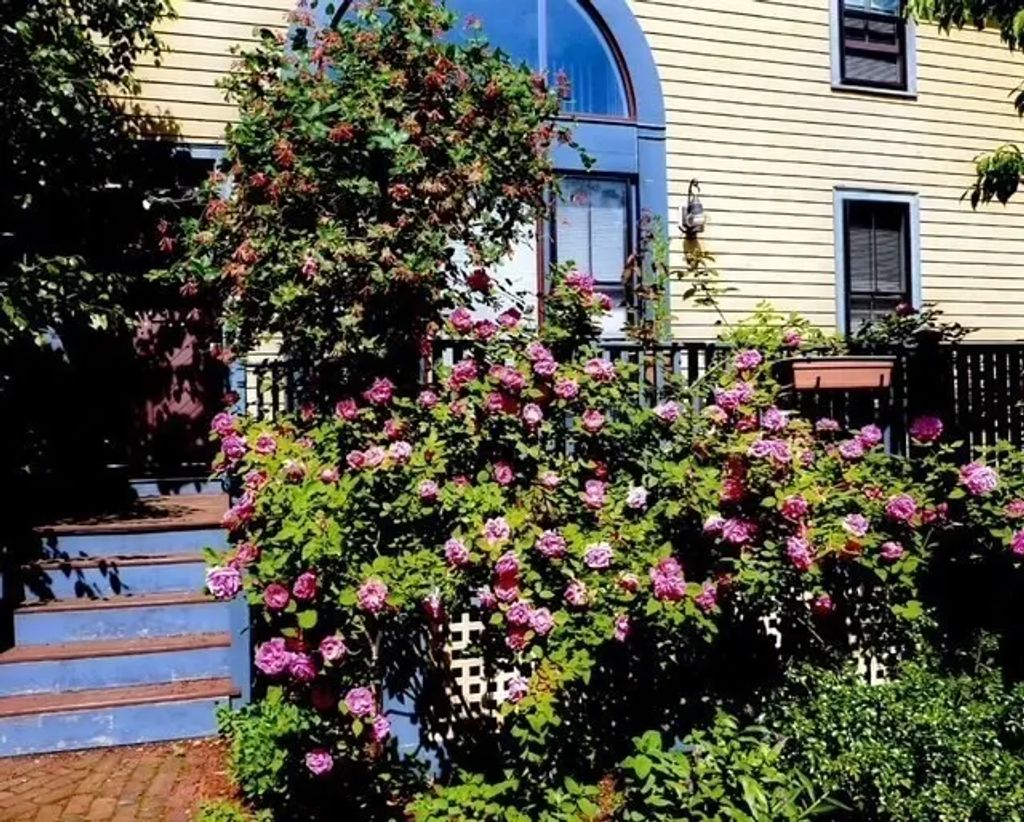 71 Abbottsford, Brookline