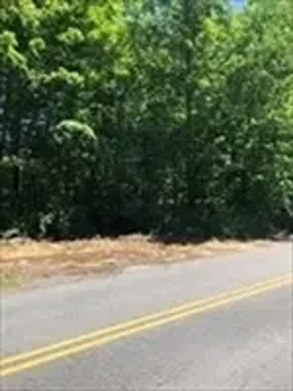Auburn Road, Millbury