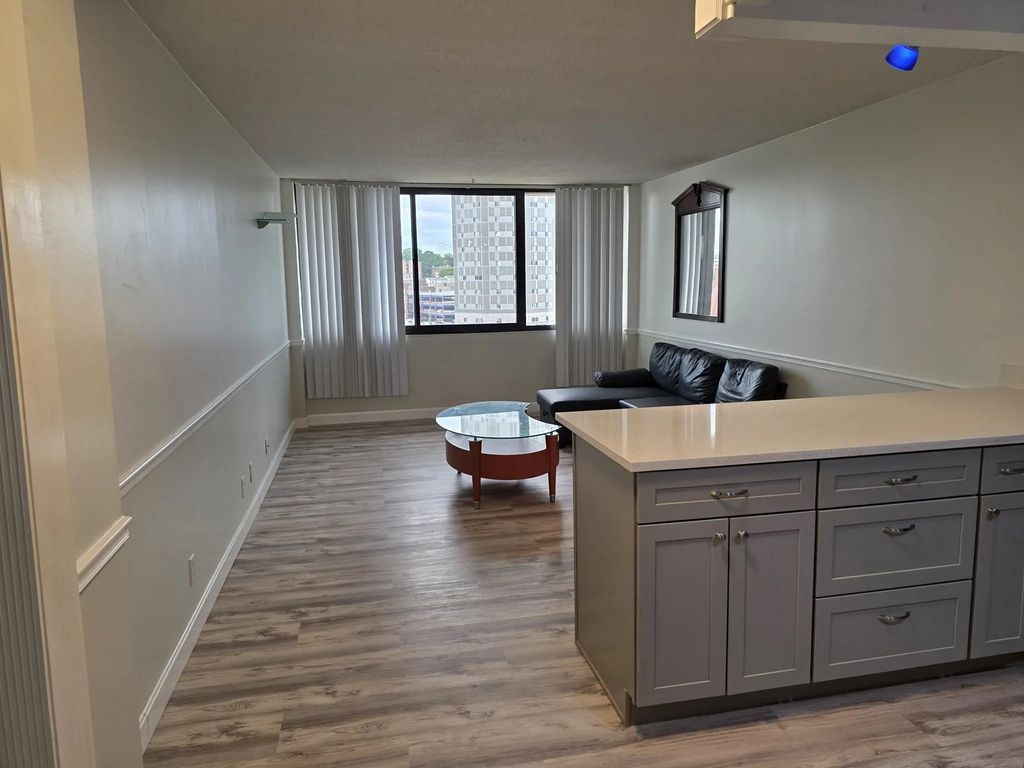 70 Southbridge St #811, Worcester