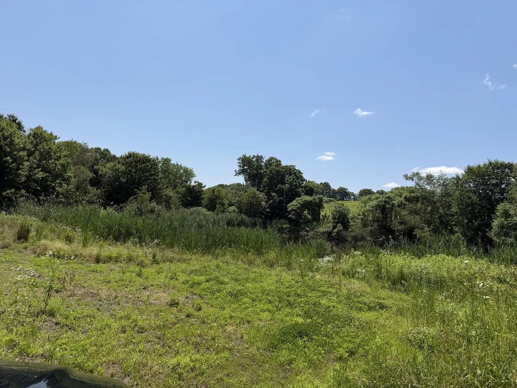 Wine Rd, New Braintree