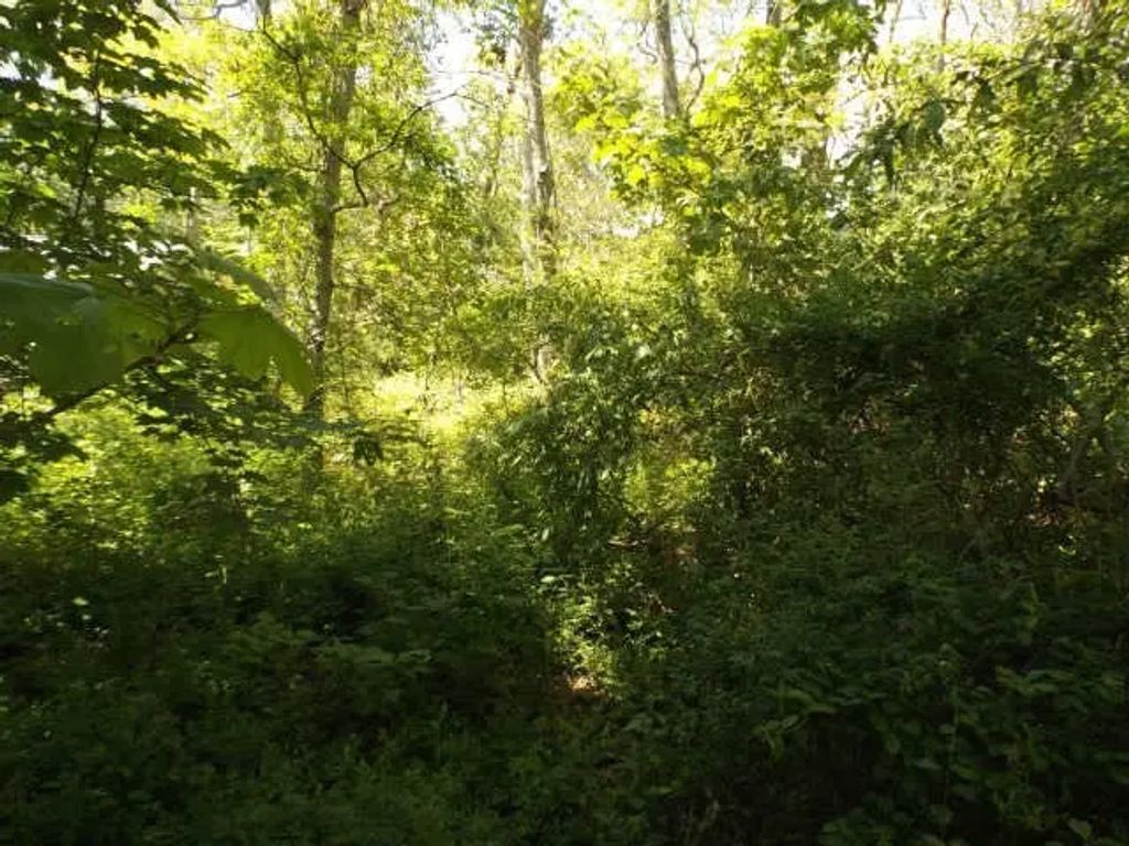 Old Country Lane, Tisbury