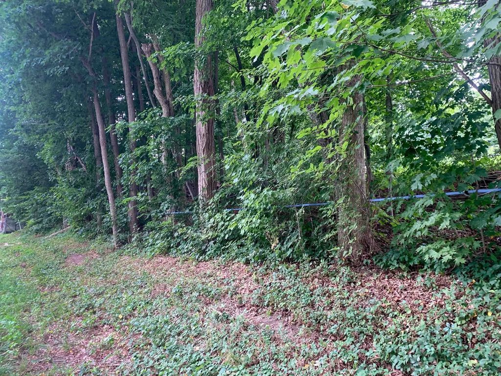 Chestnut Plain Rd (ws), Whately