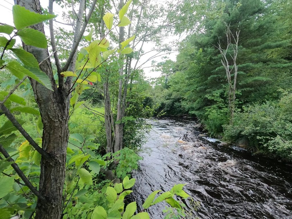 3 Lots Mill St, Templeton