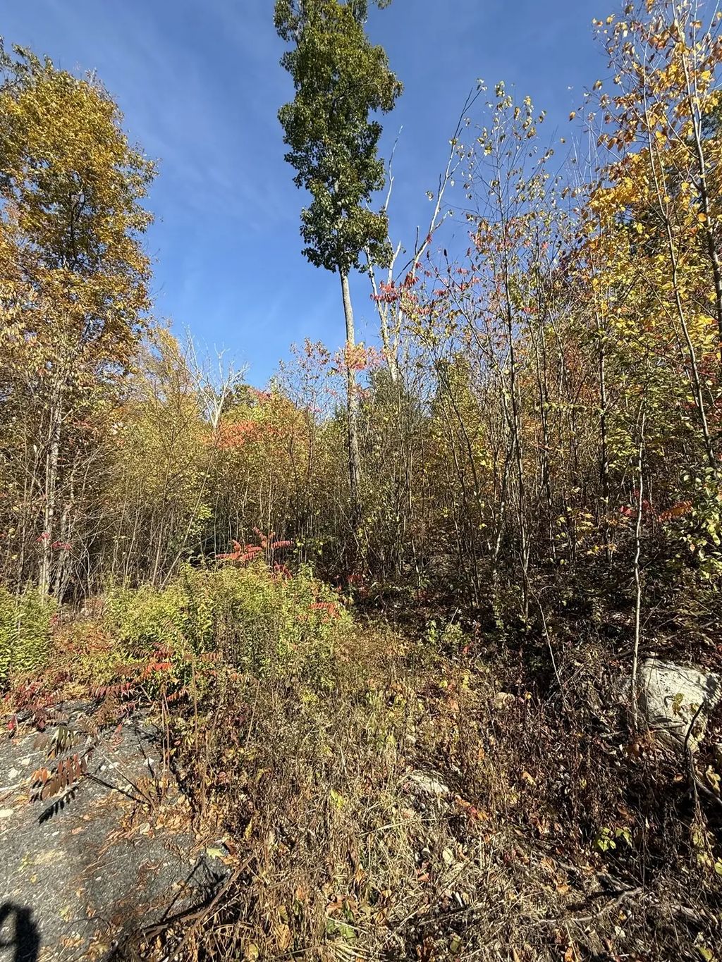 Lot 1 Amherst Rd., Belchertown