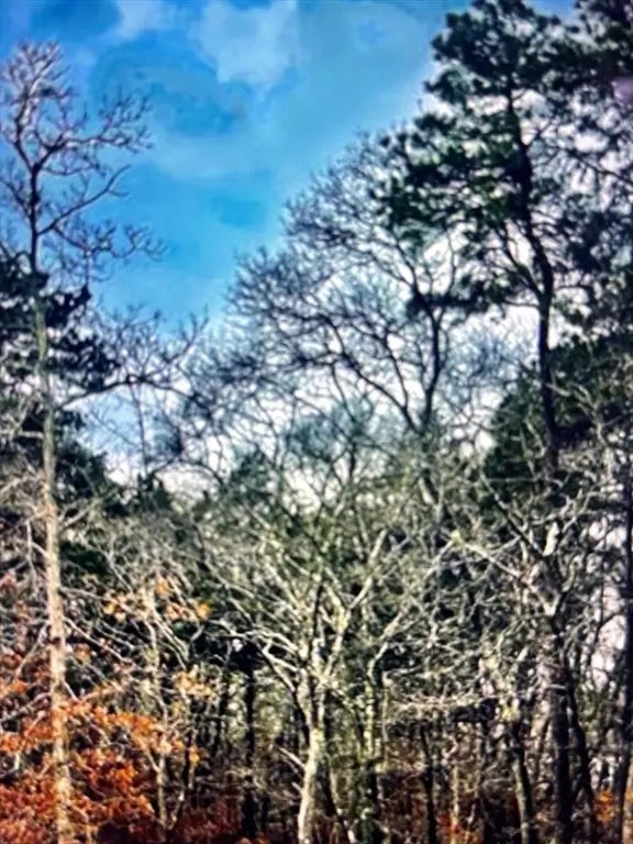 2 Old Farms Trail, Edgartown