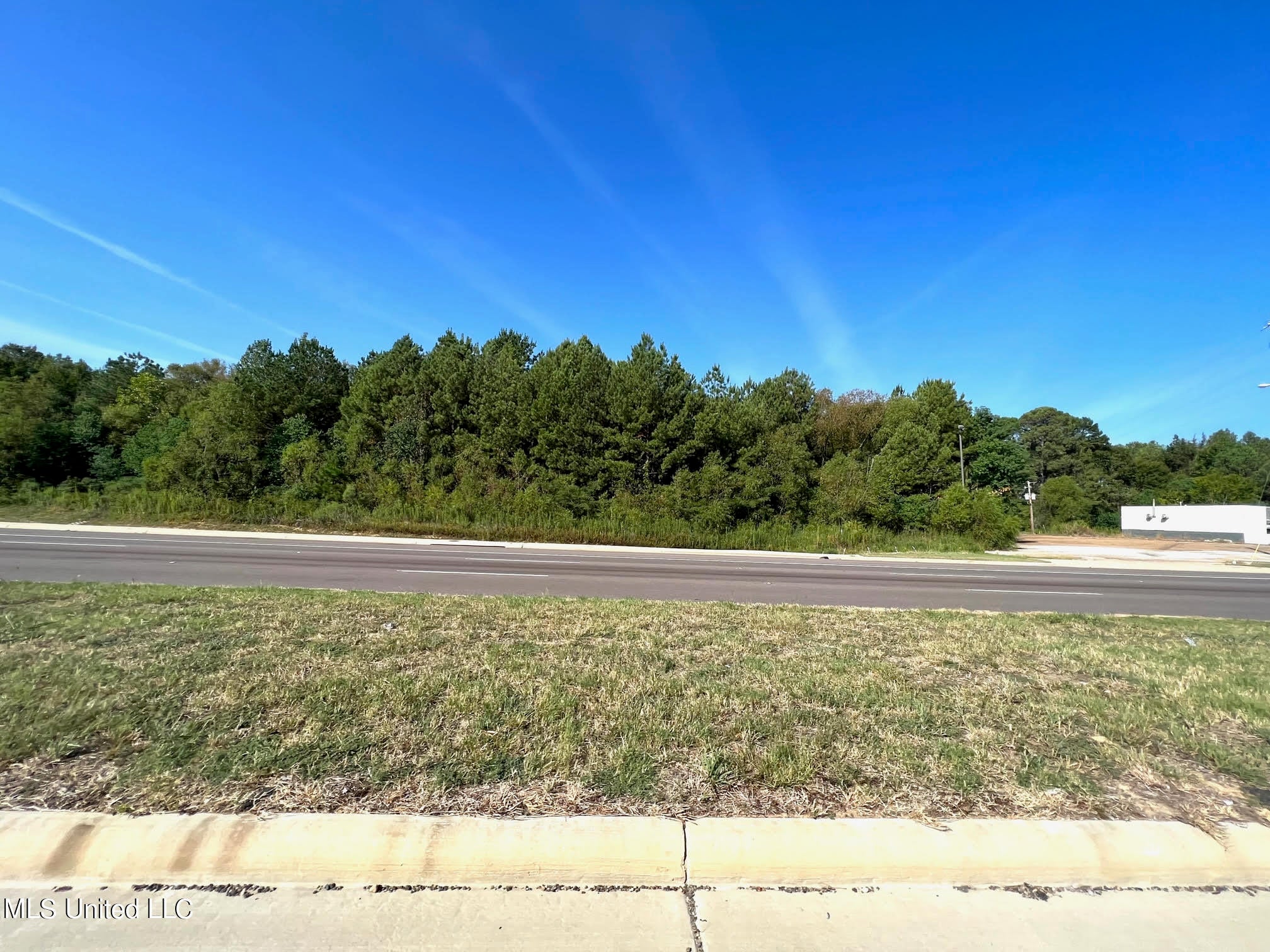 Land for Sale in Rankin County