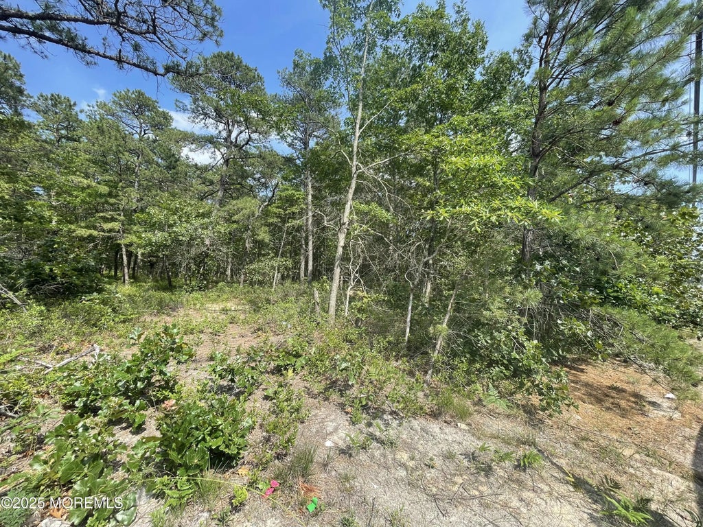 1463 Route 539, Little Egg Harbor