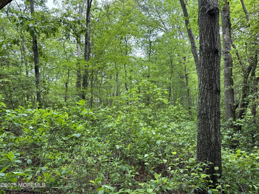 311 Court House Dennis Road, Cape May Court House
