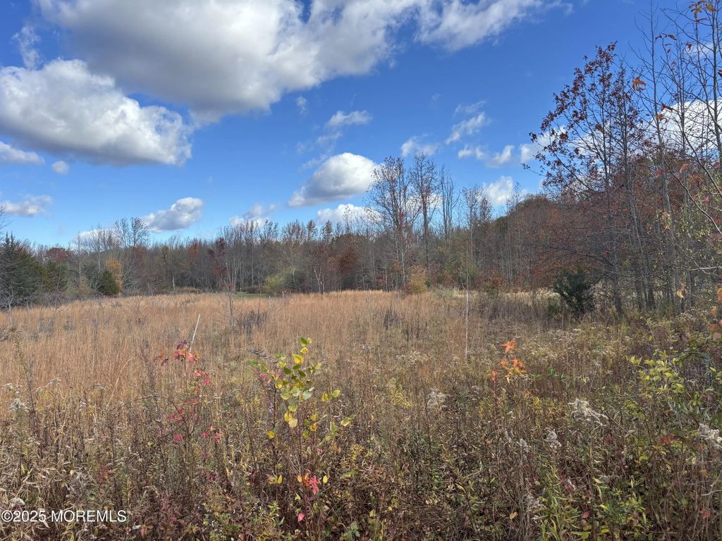 28 Mccaffery Road, Manalapan