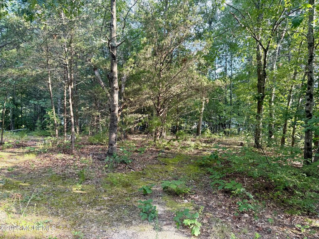 Lakehurst Avenue, Jackson