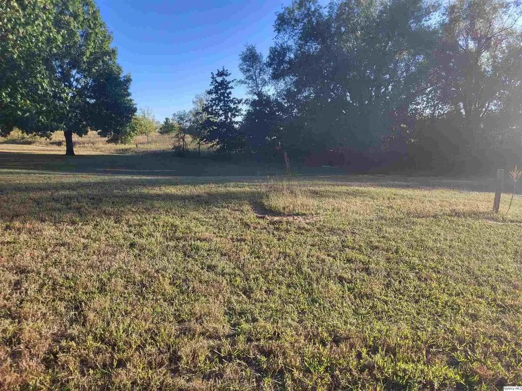 1125 Eagle Drive, Meredosia