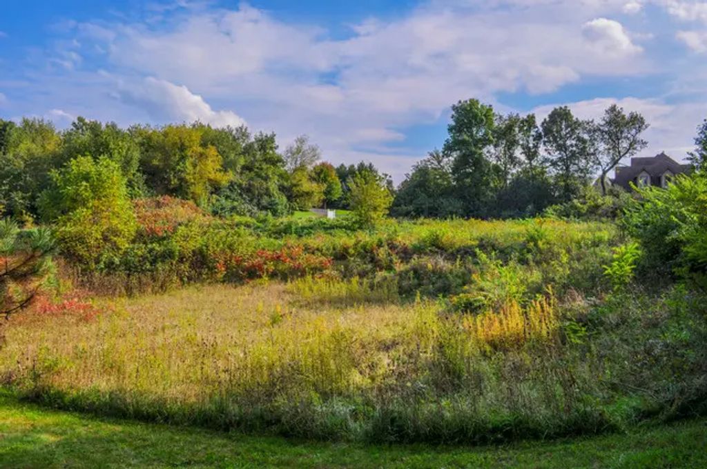 4353 Carlisle Drive, Crystal Lake