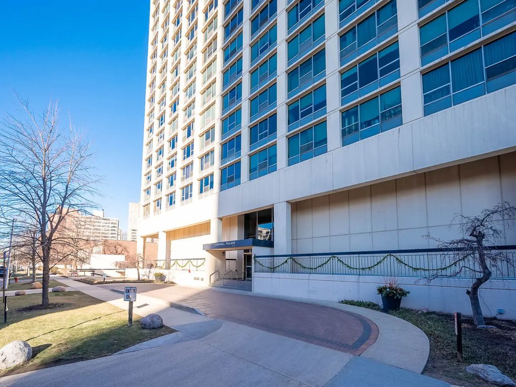 5201 S Cornell Avenue 4b, Chicago, 60615