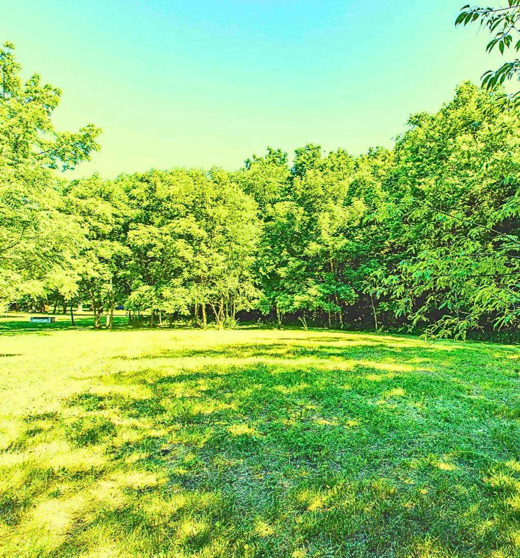 Lot 26 Oak Hill Road, Bloomington