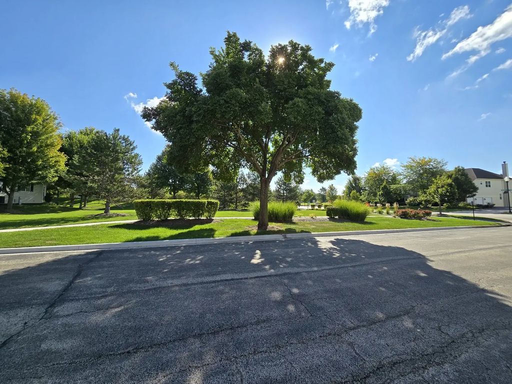 1121 Iron Horse Court, Elgin