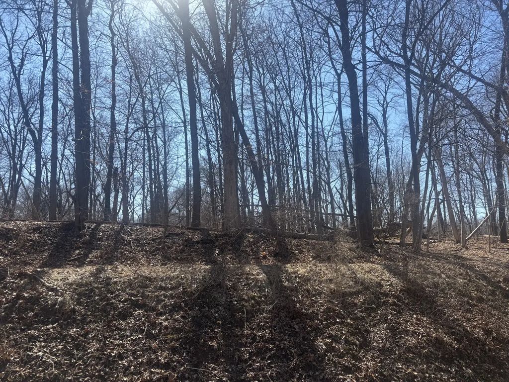 839 Lake Wildwood Drive, Varna