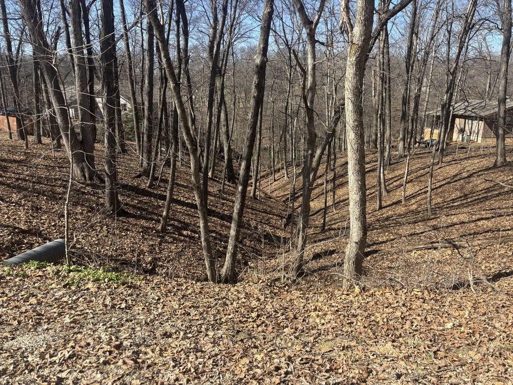 1673 Lakeside Court, Varna