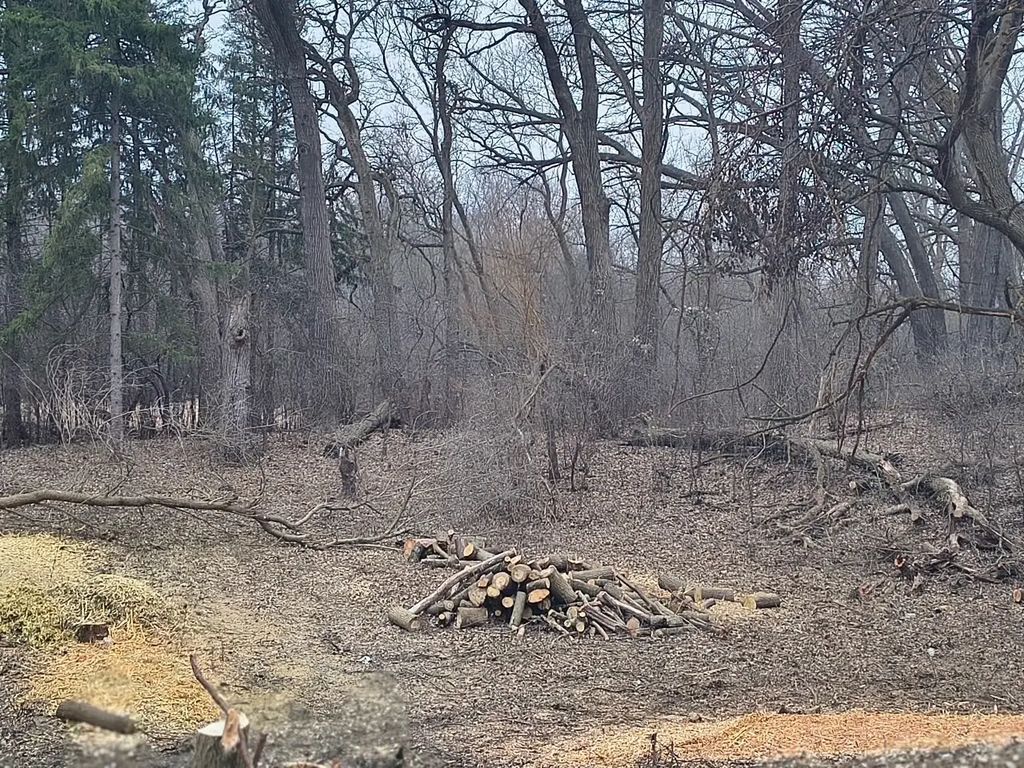 Lot 2 Asbury Avenue, Fox River Grove