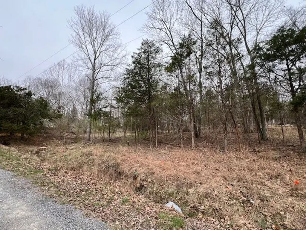 Lot 1234 Indian Camp Drive, Goreville