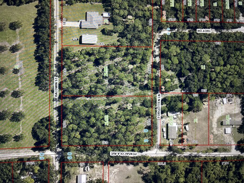 Lot 10 Baldwin Street, Perdido Beach