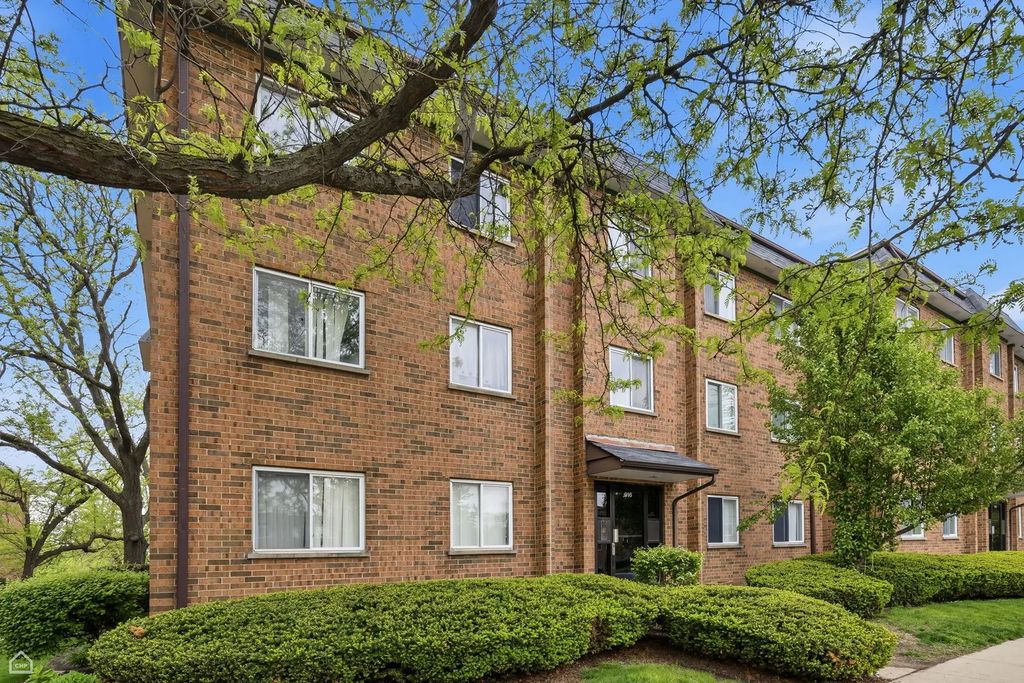 916 Casey Court 30-06, Schaumburg