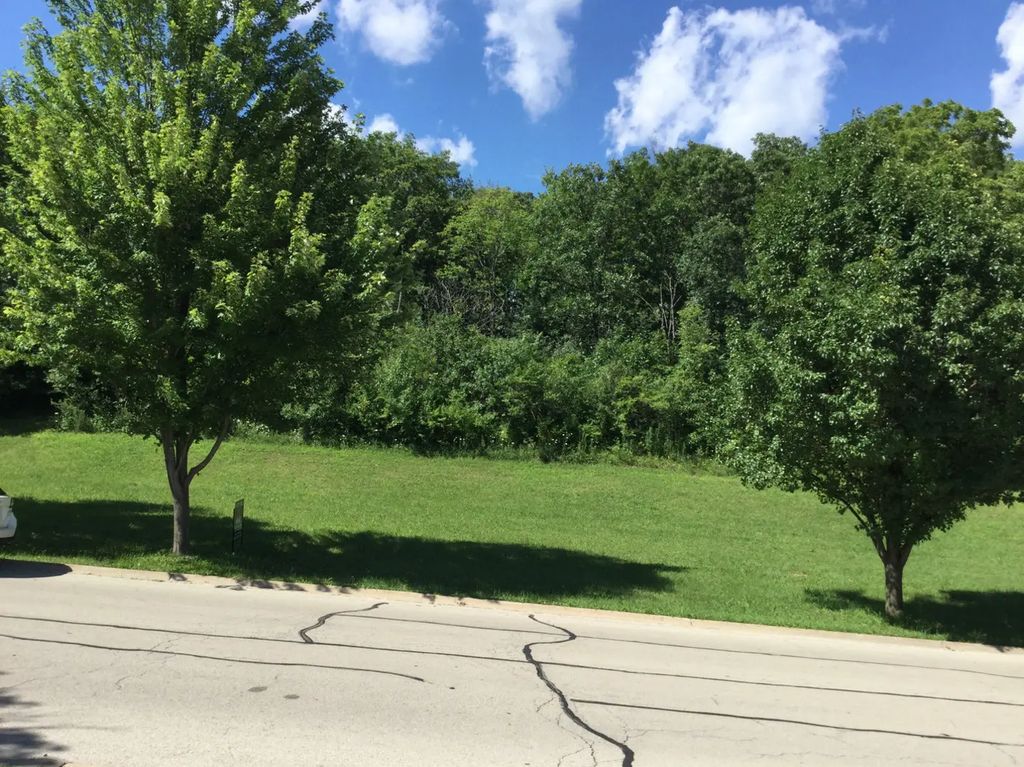 517 Rivers Edge Drive, Minooka