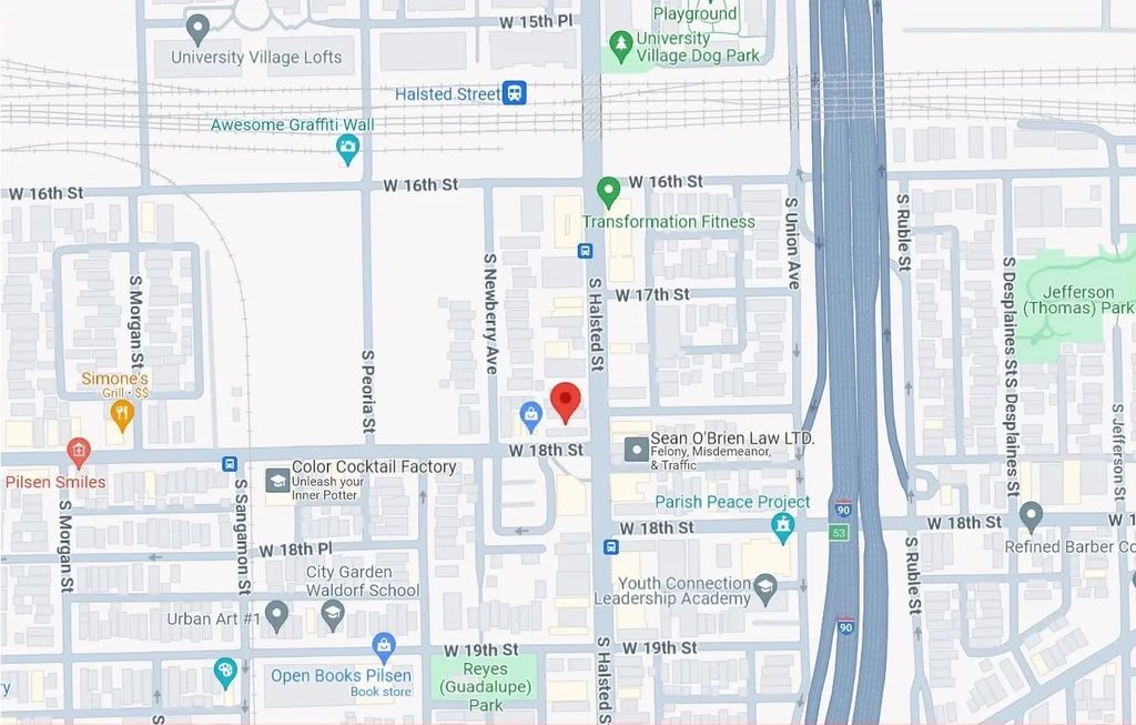1728 S Halsted Street, Chicago, 60608