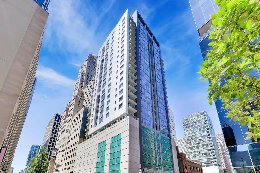 160 E Illinois Street 1007, Chicago, 60611