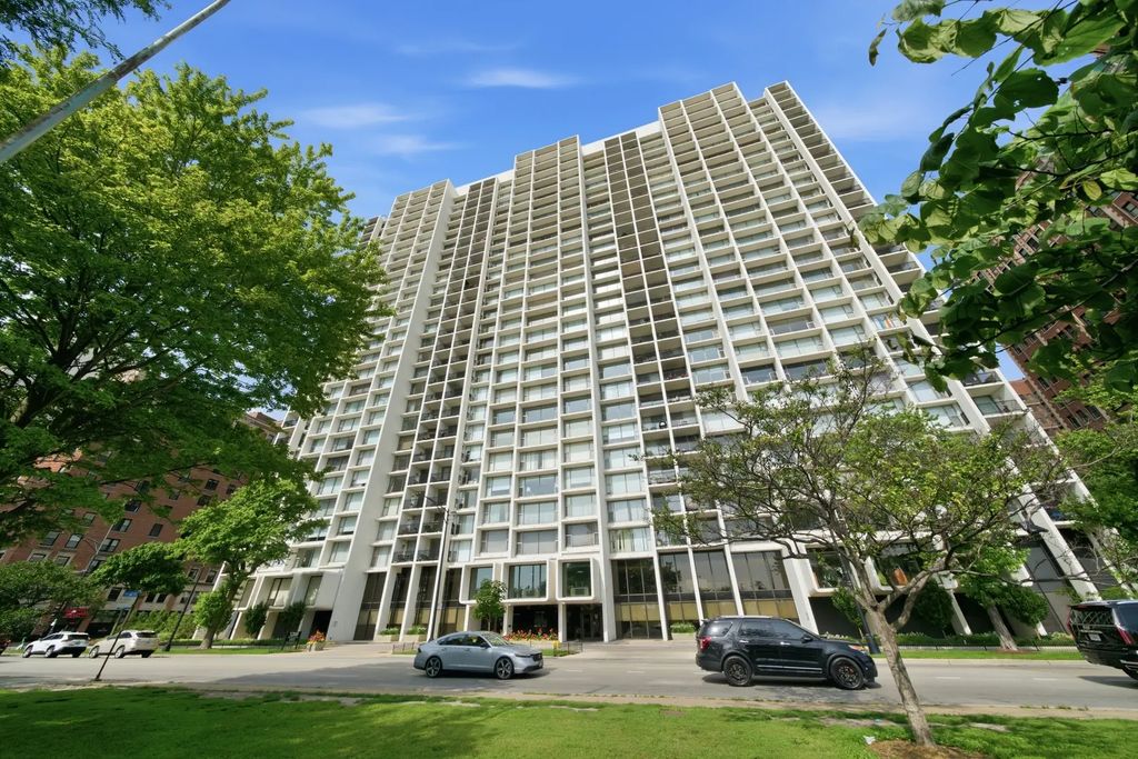 3200 N Lake Shore Drive 2102, Chicago, 60657