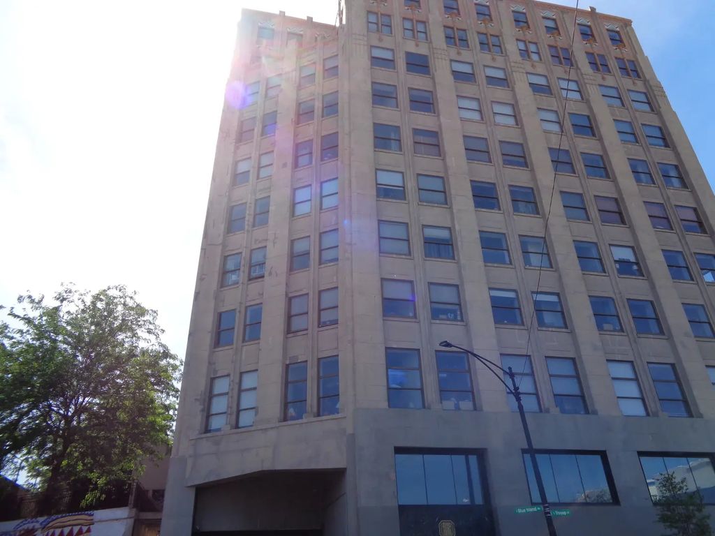 1550 S Blue Island Avenue 808, Chicago, 60608