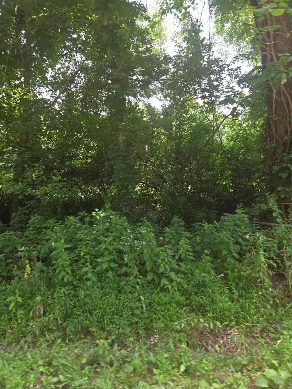 206 Old Villa Ridge Road, Mounds