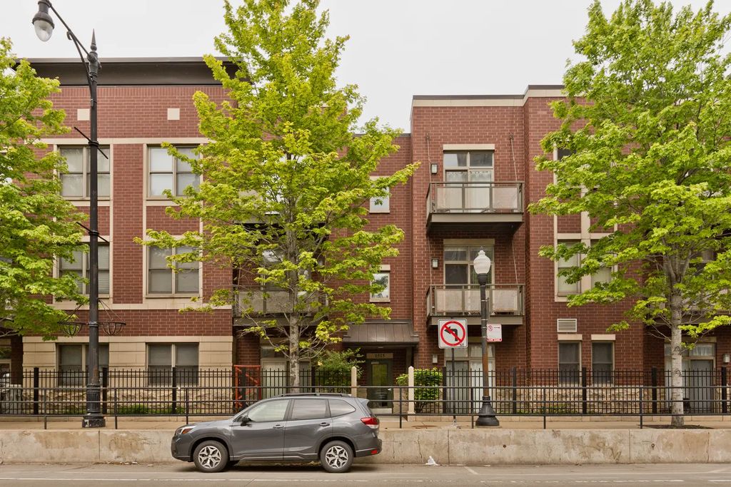 1515 S Halsted Street 214, Chicago, 60607