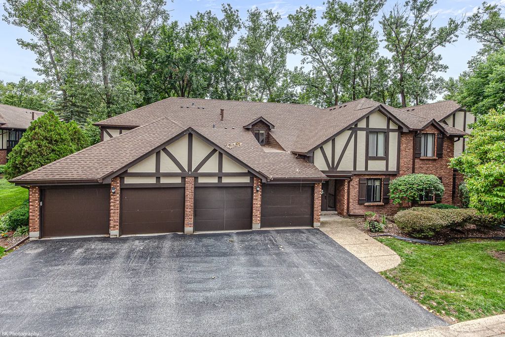 8127 Chestnut Drive 58c, Palos Hills