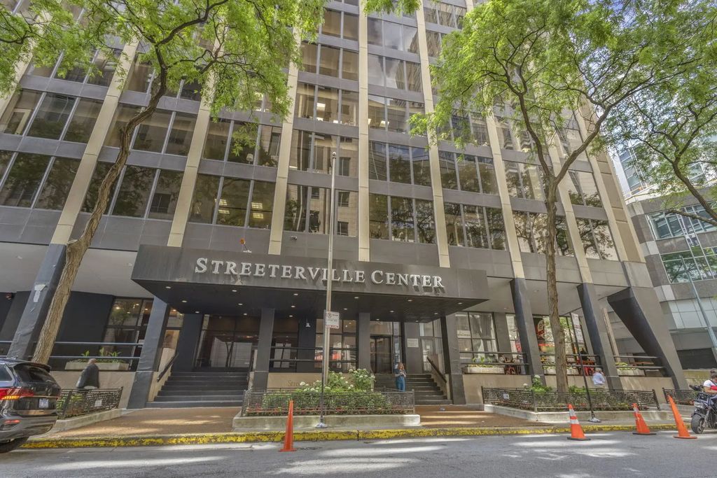 233 E Erie Street 1403, Chicago, 60611